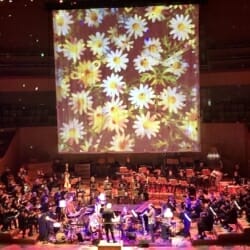 Julia Wolfe's Flower Power with BBC Concert Orchestra London